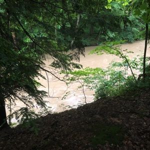 Meet your Posher, Byron